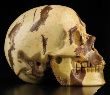 Outback Jasper Skull
